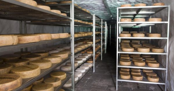 Quesos Canarios Artesanales Bolaños