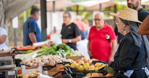 Día de los Mercados