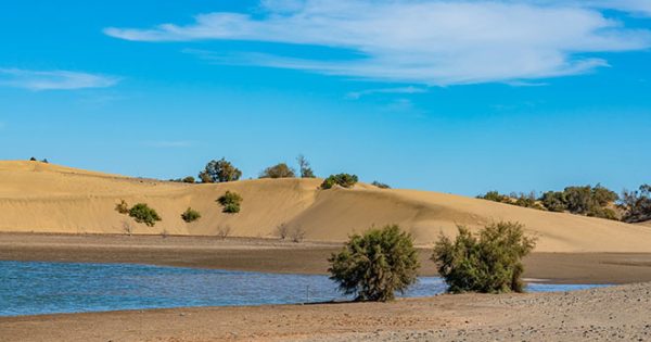 oficina técnica ImpulsaMaspalomas
