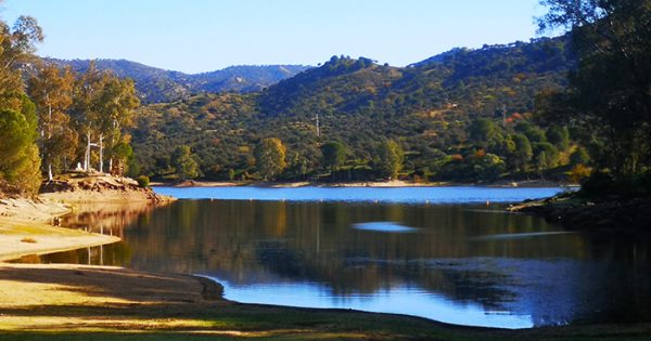 Articulo Arturo Crosby