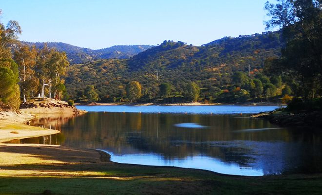 Articulo Arturo Crosby